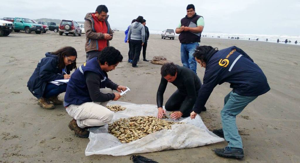 machas-en-cucao-1024x556.jpg