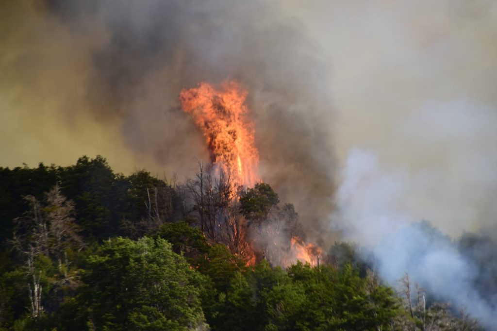 incendio troncoso futaleufu 1
