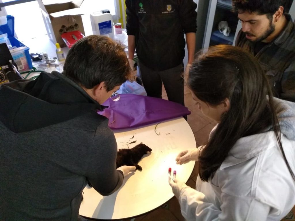 capacitacion vison