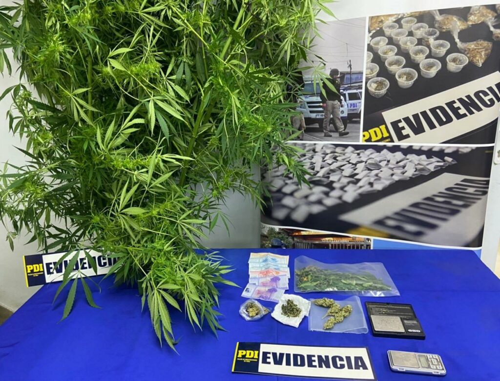 microtrafico cero evidencia pdi microtrafico cero evidencia pdi
