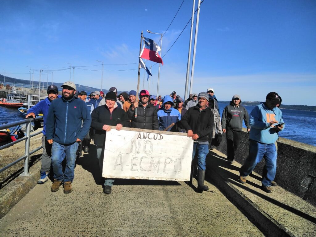manifestacion ancud manifestacion ancud
