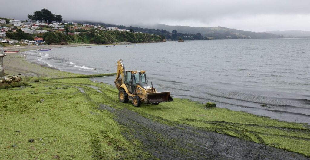 maquinaria costanera ancud ok maquinaria costanera ancud ok