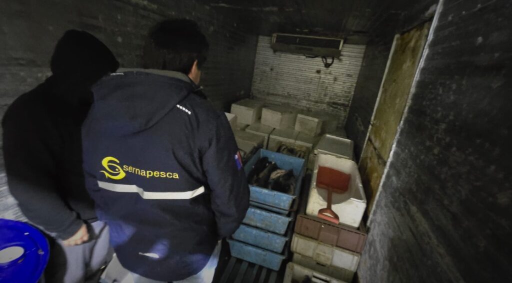 fiscalizacion sernapesca fiscalizacion sernapesca
