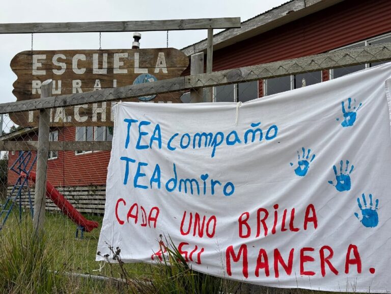 En Chiloé suman y siguen críticas al SLEP En Chiloé suman y siguen críticas al SLEP